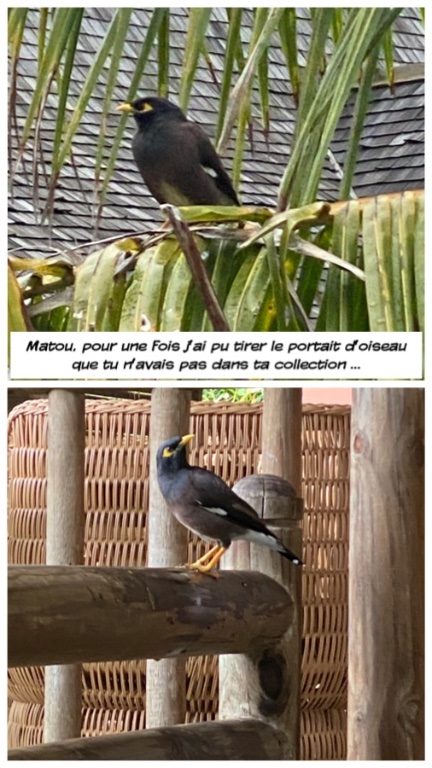 IMG_8745.jpeg