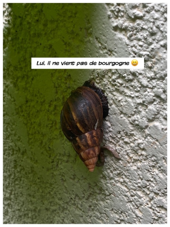 IMG_8746.jpeg