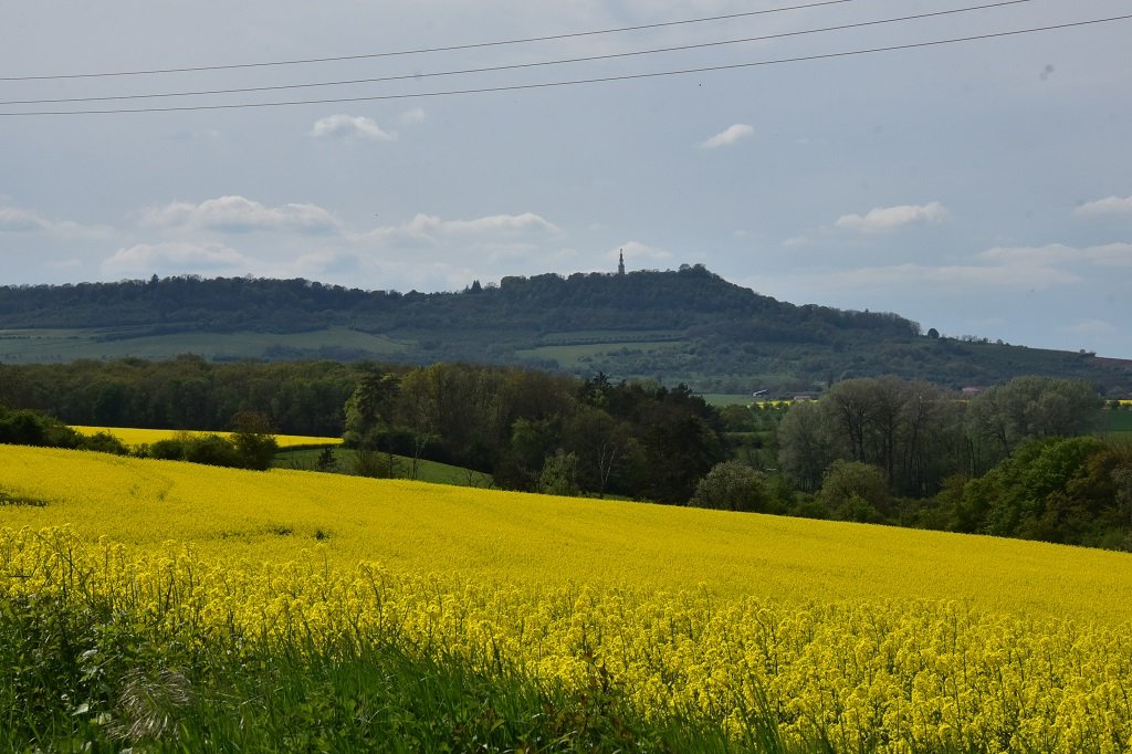 DSC_6635.JPG