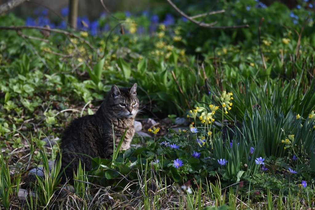 DSC_8676.JPG