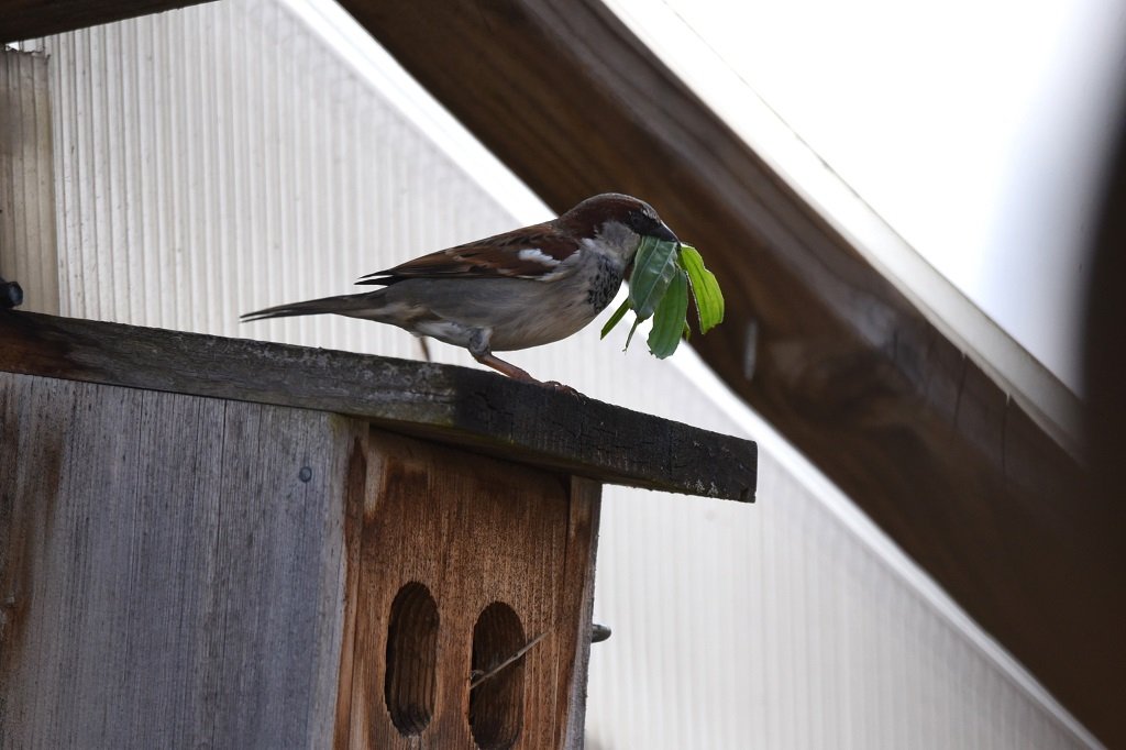 DSC_8724.JPG