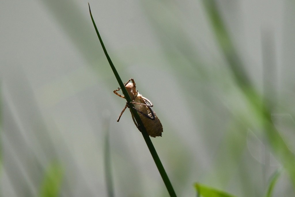 DSC_8960.JPG