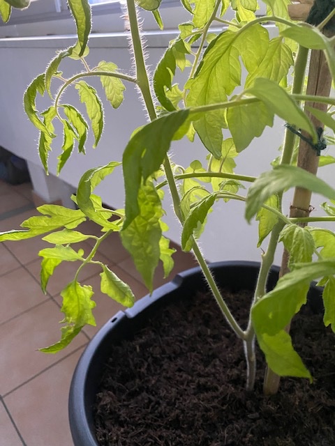 Photo2