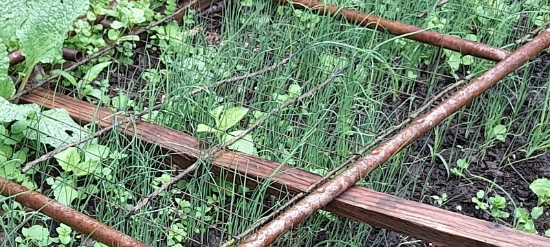20250507_124152.jpg