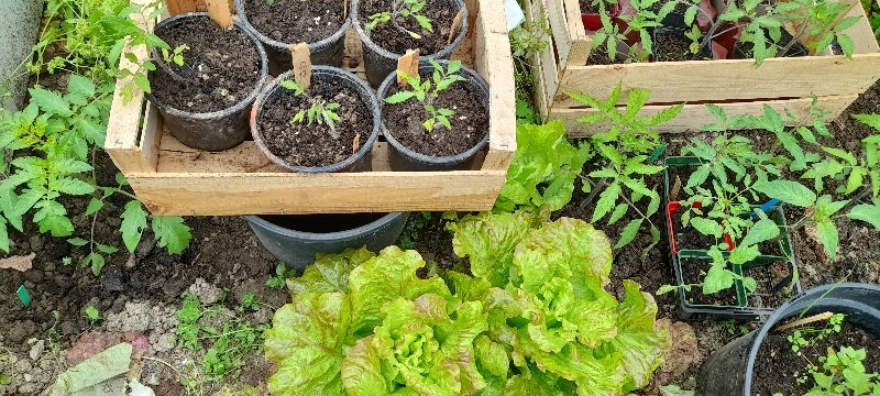 20250507_124309.jpg