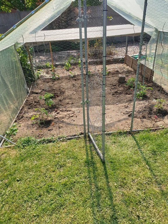 250430 serre plantée.jpg