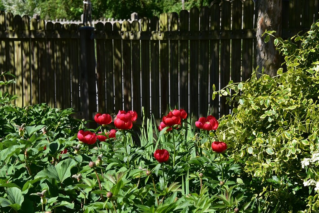 DSC_6934.JPG