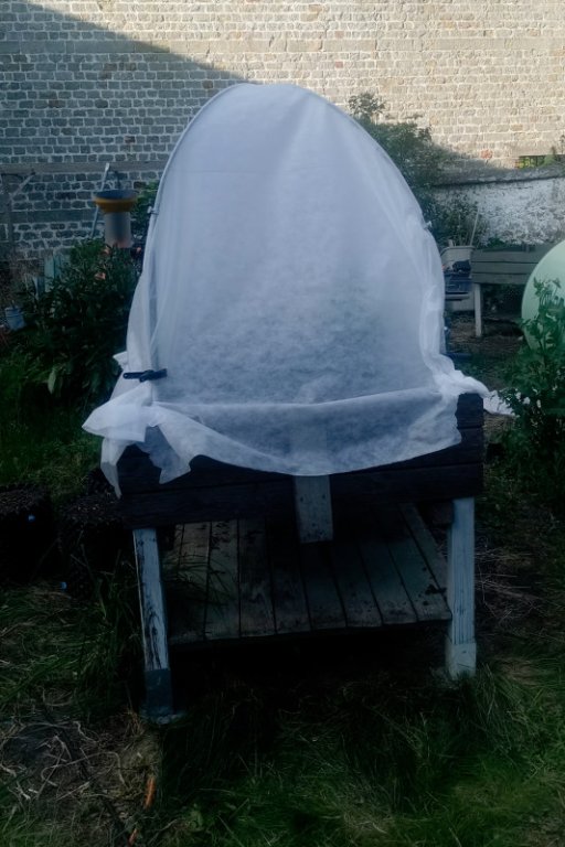 Et un igloo de plus
