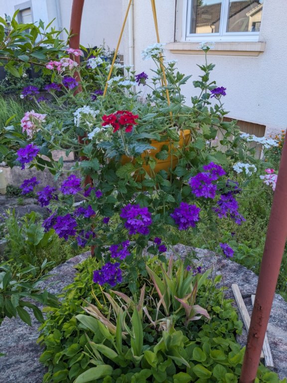 pot puits 14mai.jpg