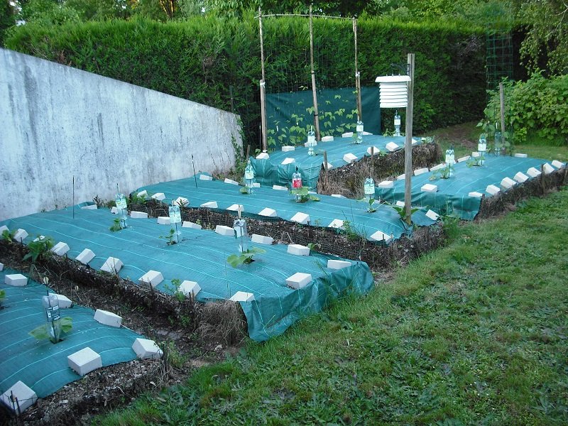 Permaculture 17 mai.jpg