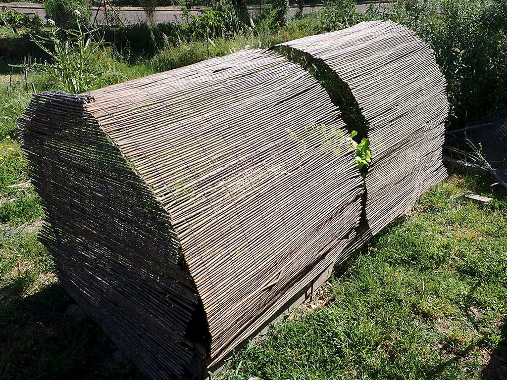 P5180220.JPG