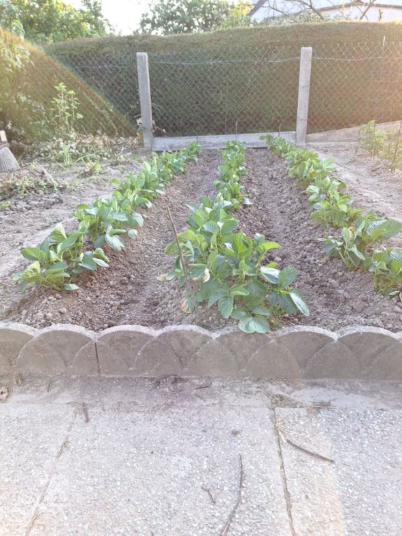 20250519_210332.jpg