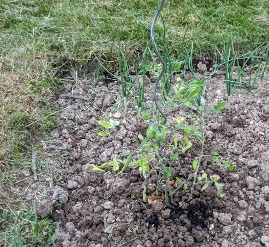 stupice 24mai.jpg