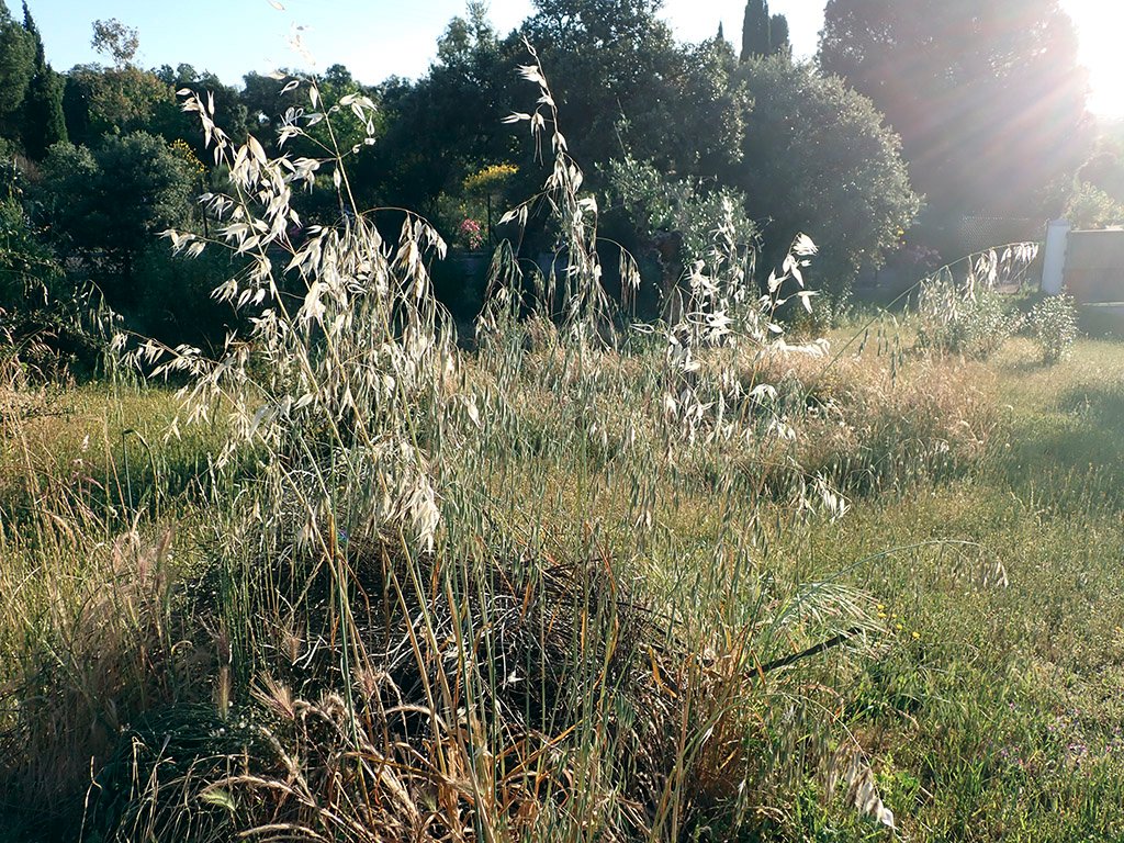 P5230305.JPG