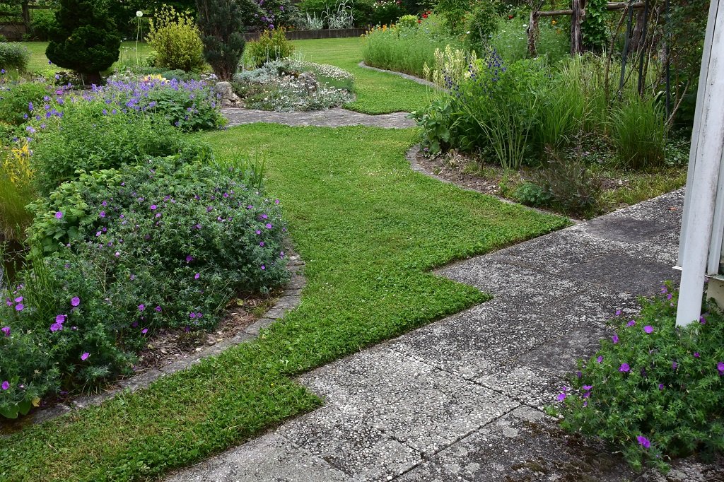 DSC_7449.JPG