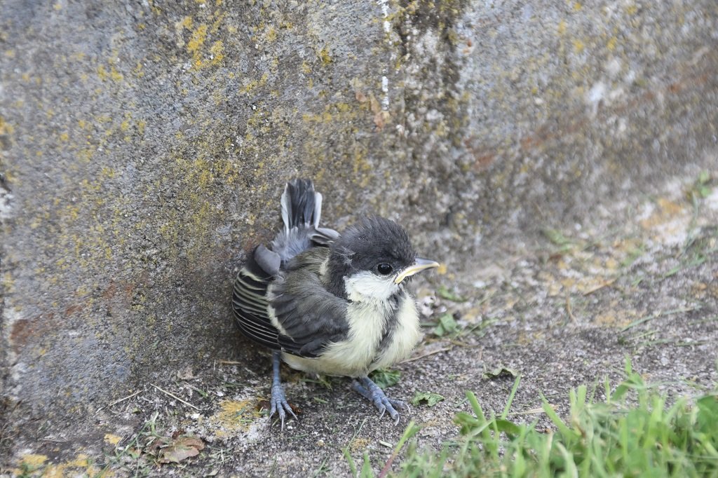 DSC_7112.JPG