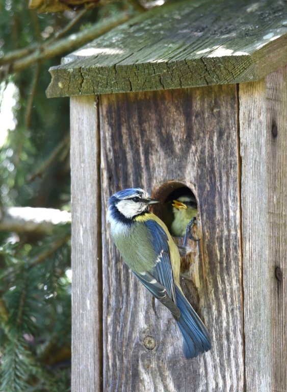 DSC_9786.JPG
