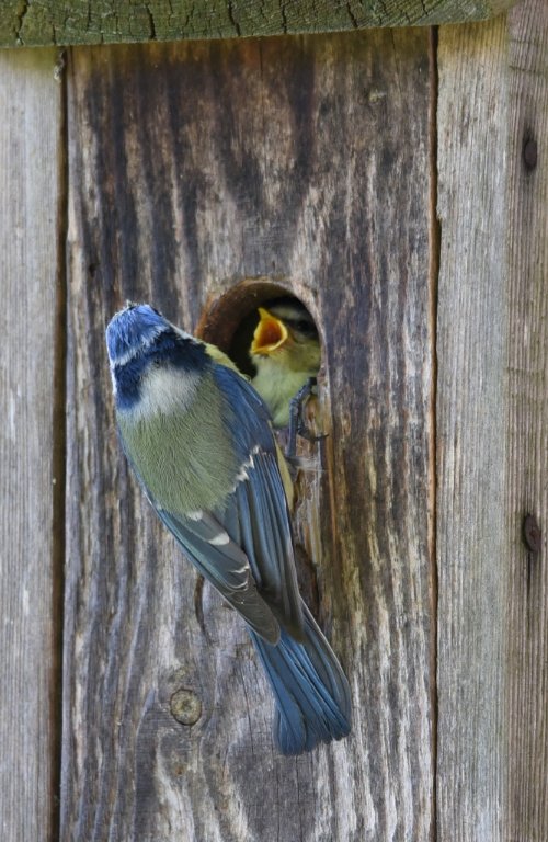 DSC_9787.JPG