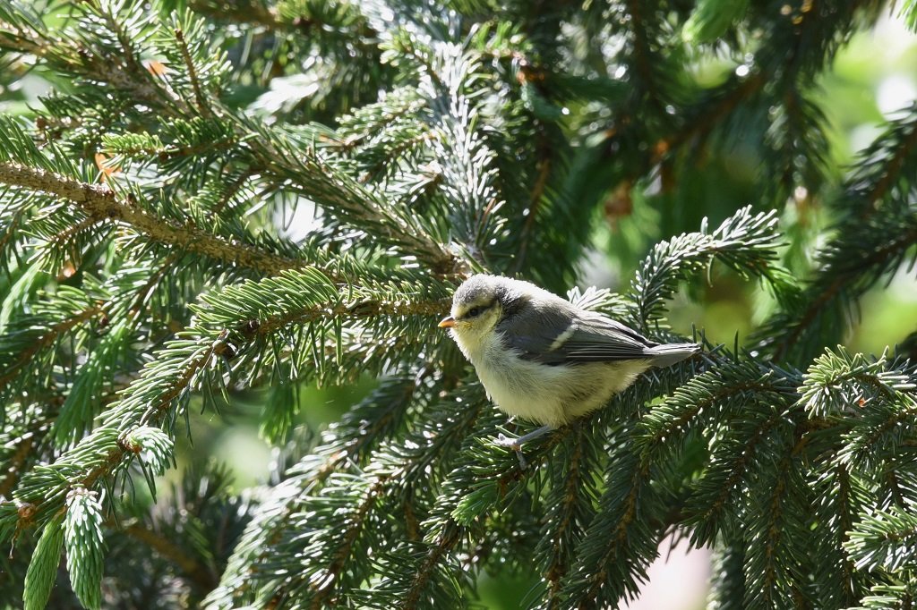 DSC_9834.JPG