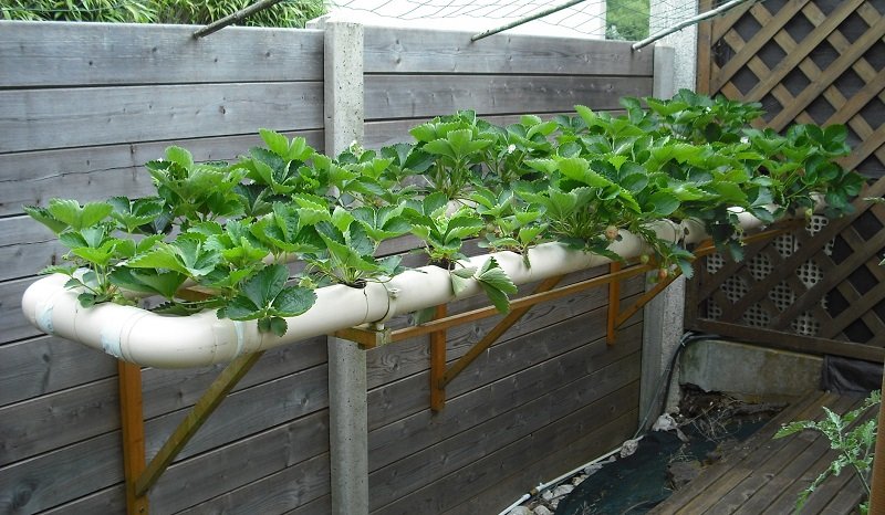 NFT 25 26 mai.jpg