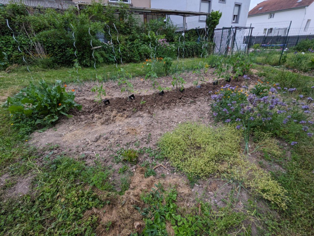 plantation27mai.jpg