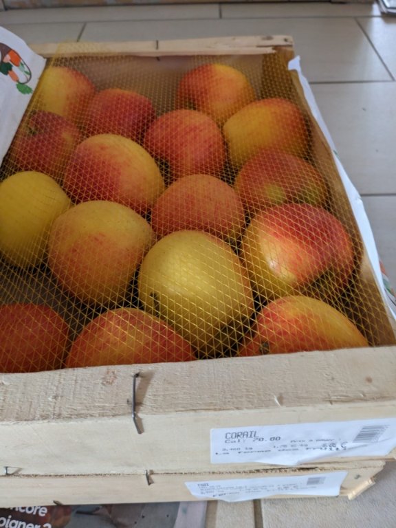 cagette pommes.jpg