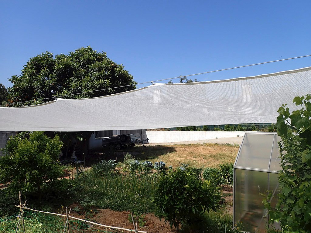 P5300346.JPG