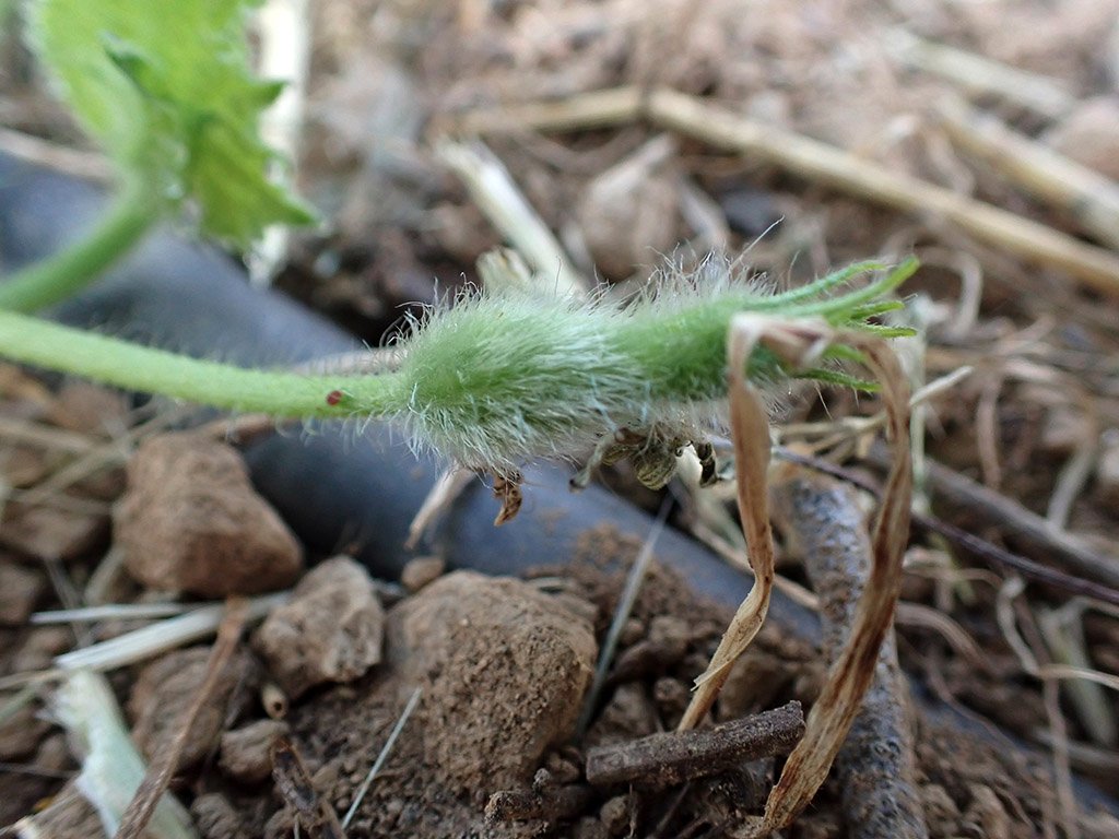 P6010372.JPG