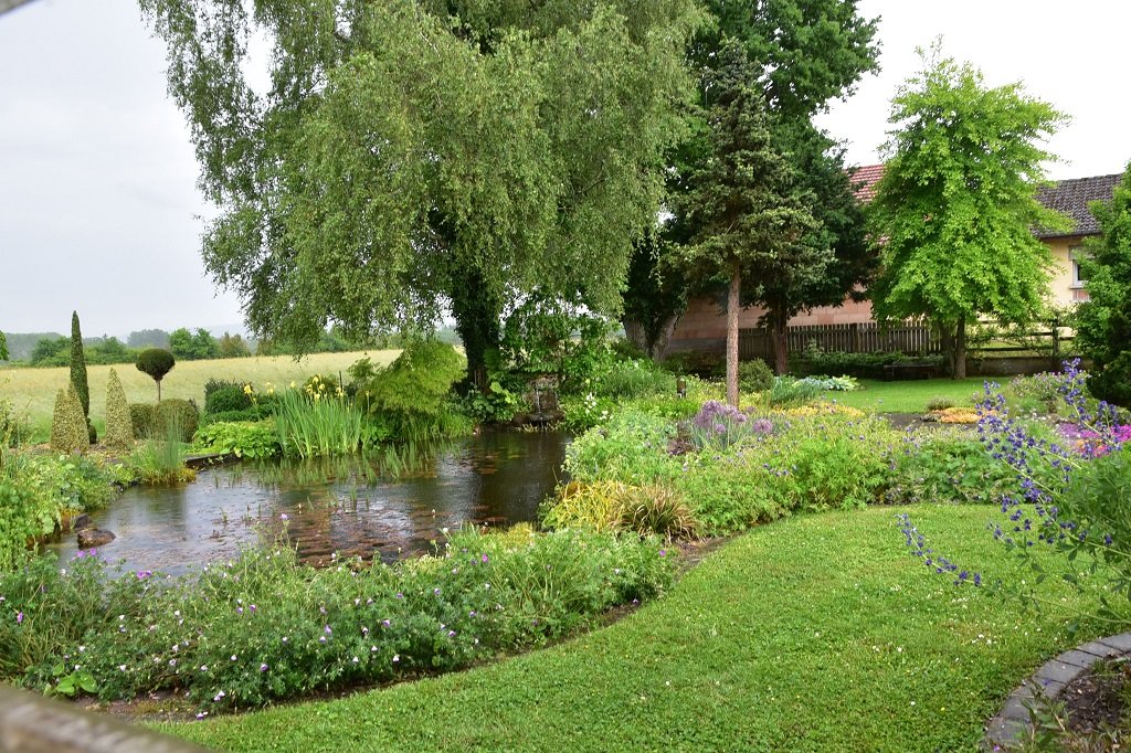 DSC_7678.JPG