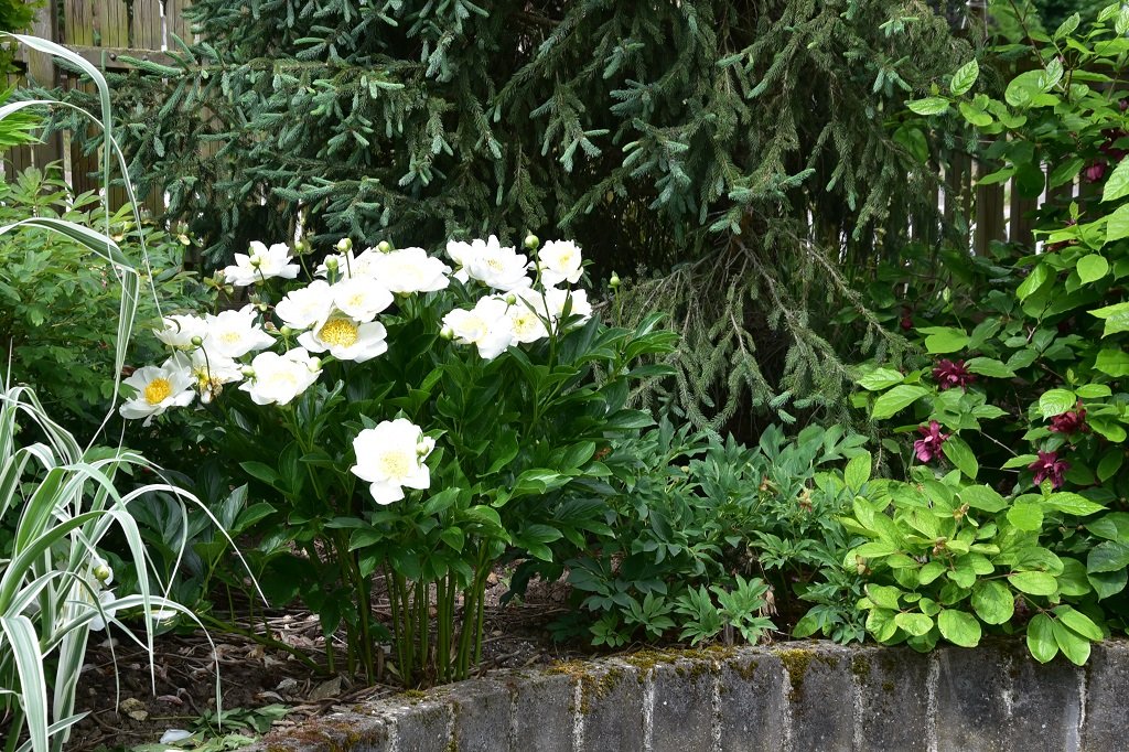 DSC_7637.JPG