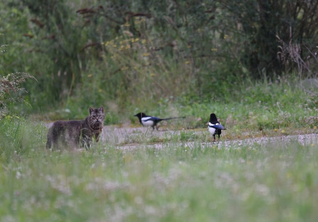 DSC_0595.JPG