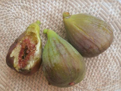 figues2.jpg