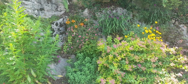 20250612_123031.jpg