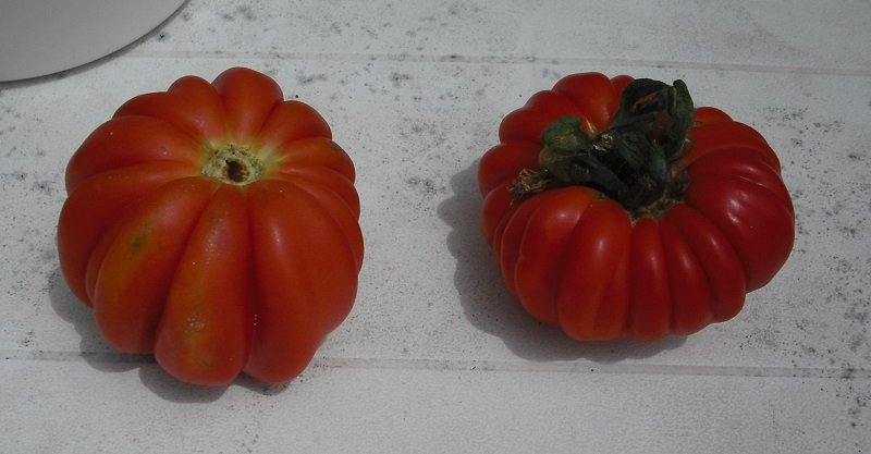 Marmande Canestrino 12 juin.jpg