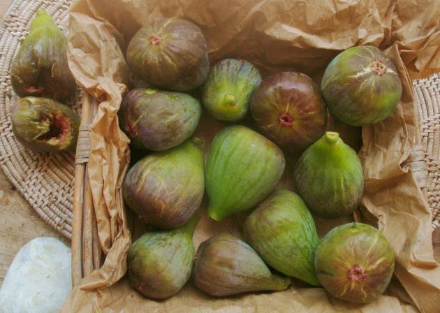 figues4.jpg