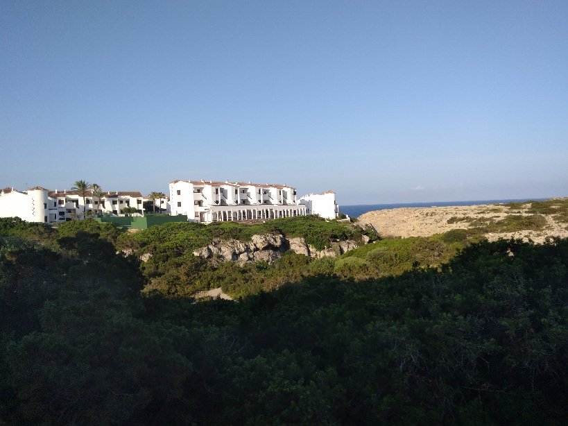 20250617_074733.jpg
