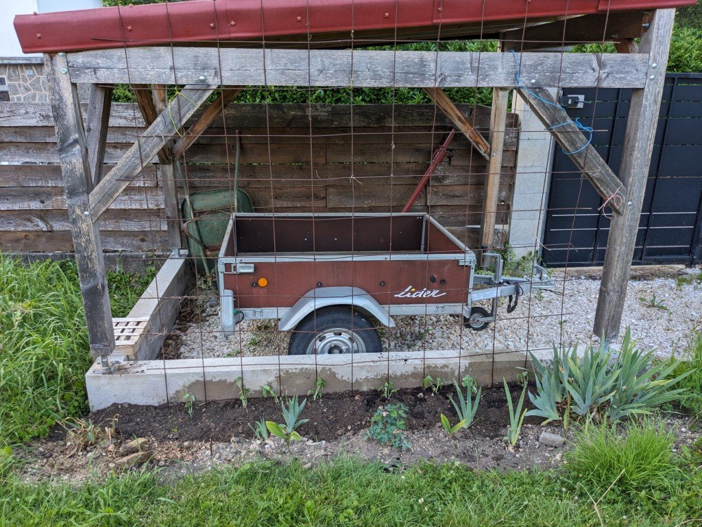 installation haricots km18juin.jpg