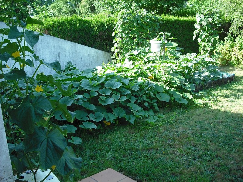 Permaculture 19 juin.jpg