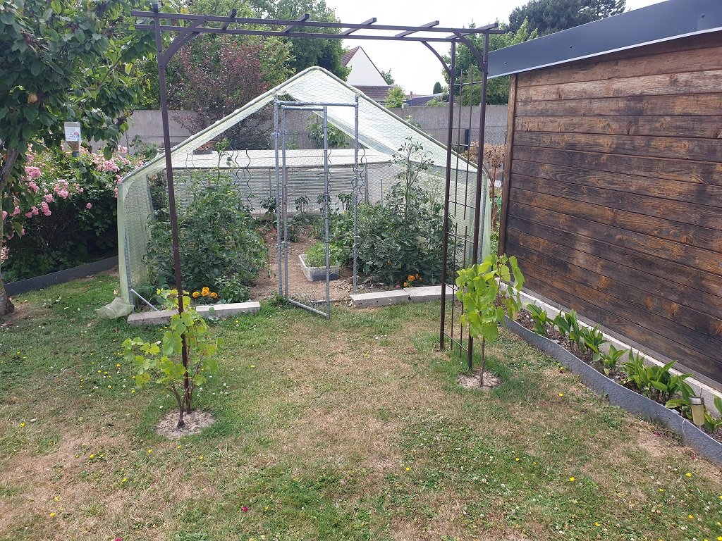 250620 tonnelle et serre.jpg