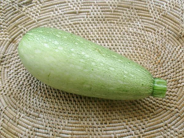 courgette.jpg