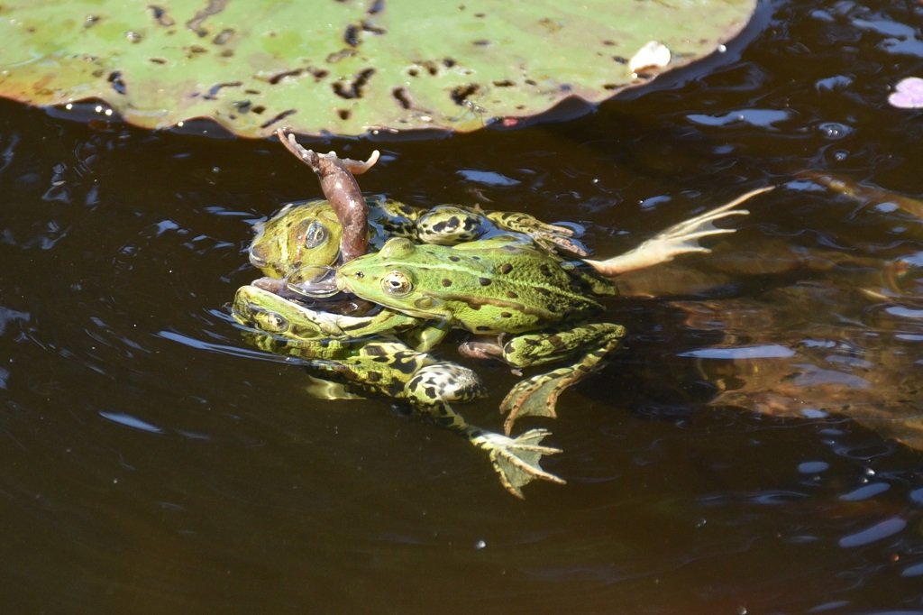 DSC_8263.JPG