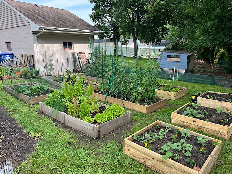 Vue générale des carrés potagers