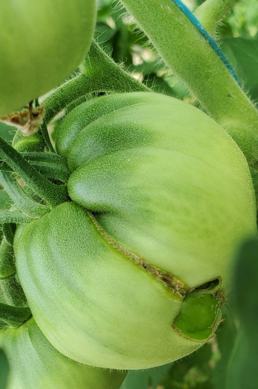 20250623_104943~2.jpg