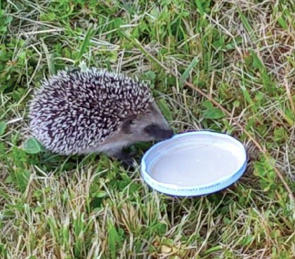 h boit 23juin.jpg