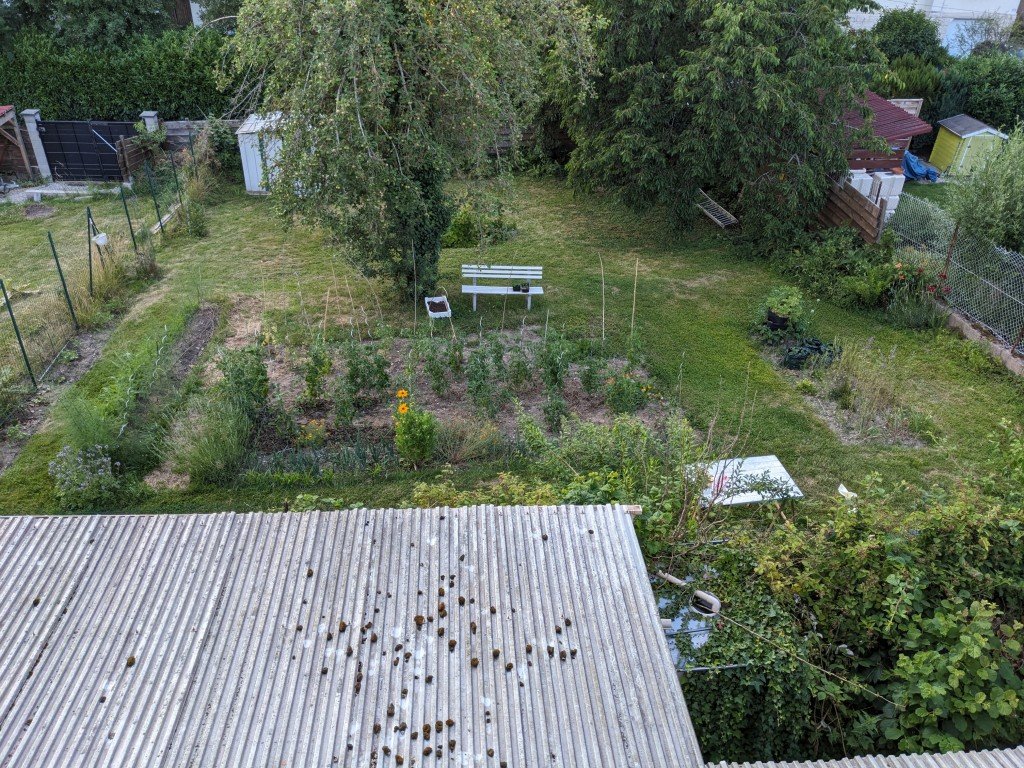 droite21juin.jpg