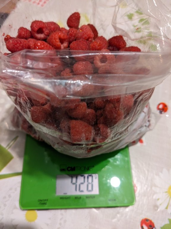 framboises24juin.jpg