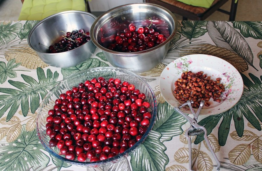 250625_cerises-denoyautage_IMG3621red.jpg