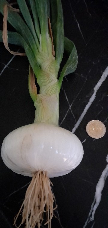 20250627_142159.jpg