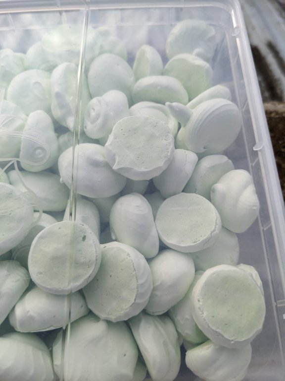 meringue menthe5juillet.jpg