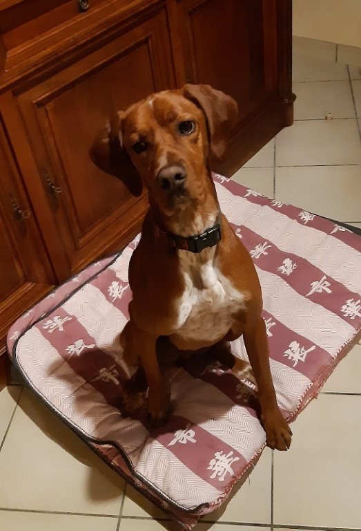 César.jpg